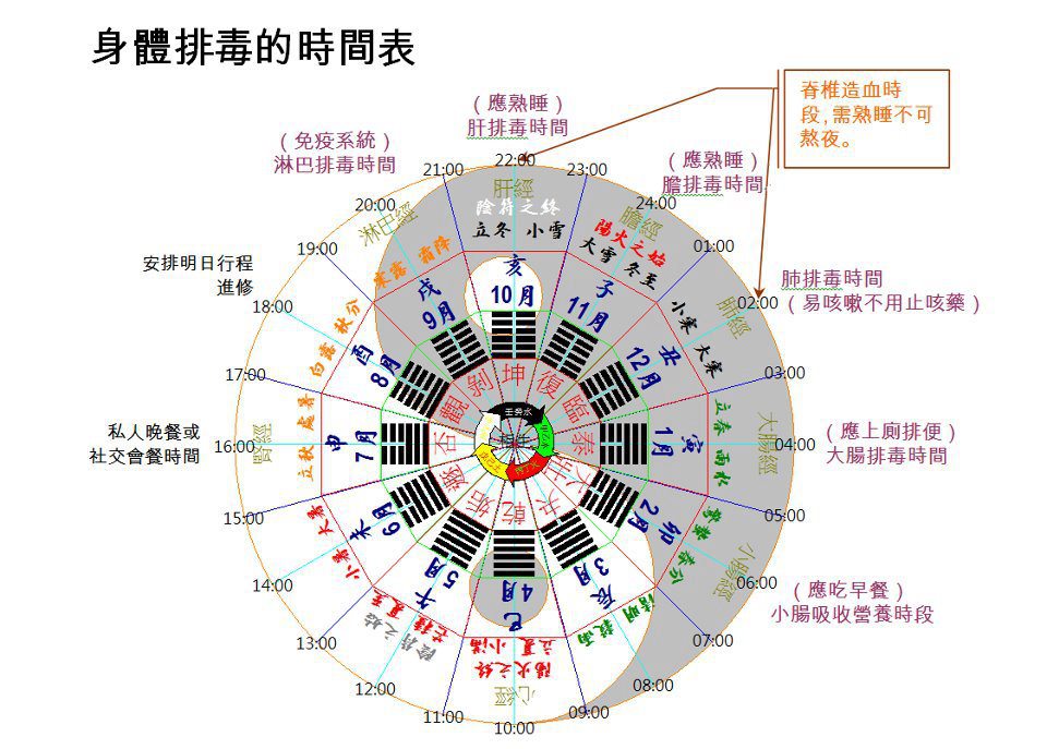 中医人体排毒时辰表__四时养生保健网